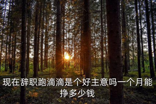 現在辭職跑滴滴是個好主意嗎一個月能掙多少錢