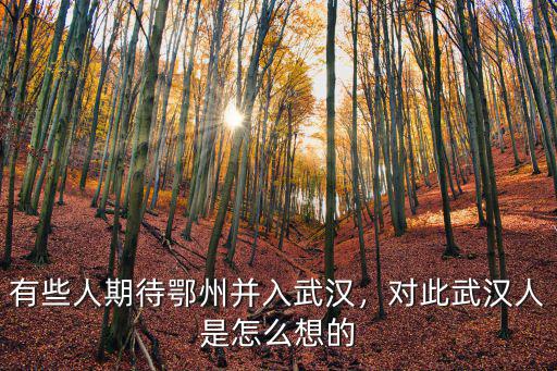 有些人期待鄂州并入武漢，對此武漢人是怎么想的