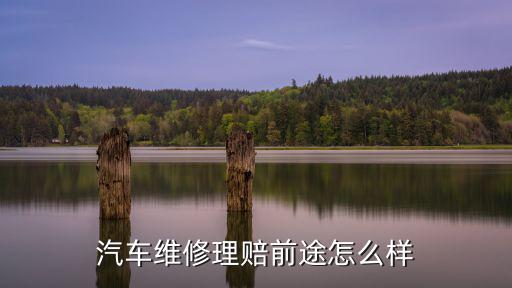 湖北進口汽車維修怎么樣,汽車維修理賠前途怎么樣