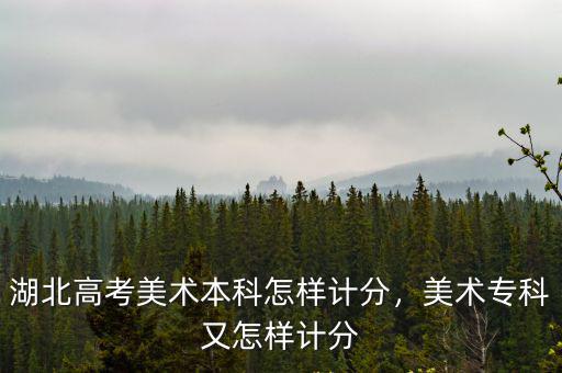 湖北高考美術(shù)怎么算分,湖北高考美術(shù)本科怎樣計(jì)分