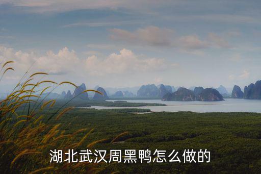 湖北武漢周黑鴨怎么做的