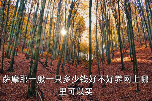 承德買薩摩多少錢一只,薩摩耶一般一只多少錢