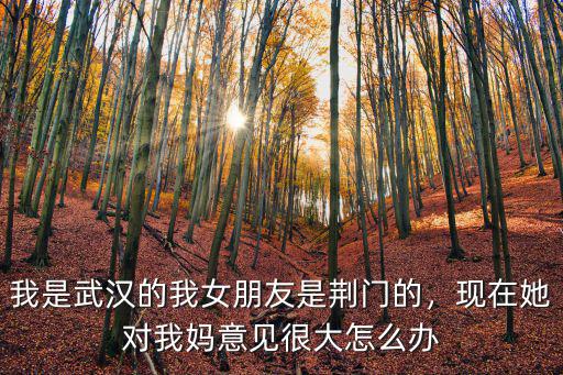 我是武漢的我女朋友是荊門(mén)的，現(xiàn)在她對(duì)我媽意見(jiàn)很大怎么辦