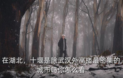 在湖北，十堰是除武漢外高樓最密集的城市嗎你怎么看