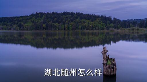 湖北隨州怎么樣