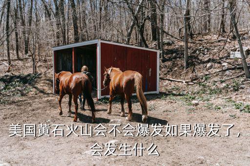 美國(guó)黃石火山會(huì)不會(huì)爆發(fā)如果爆發(fā)了，會(huì)發(fā)生什么