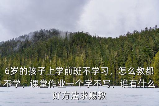 6歲的孩子上學前班不學習，怎么教都不學，課堂作業一個字不寫，誰有什么好方法求賜教