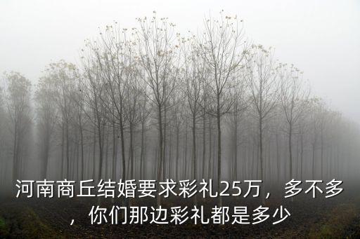 河南商丘結婚要求彩禮25萬，多不多，你們那邊彩禮都是多少