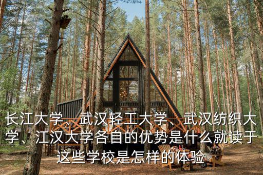 長(zhǎng)江大學(xué)、武漢輕工大學(xué)、武漢紡織大學(xué)、江漢大學(xué)各自的優(yōu)勢(shì)是什么就讀于這些學(xué)校是怎樣的體驗(yàn)