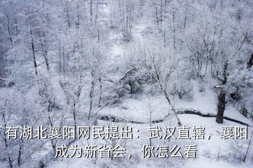 有湖北襄陽網(wǎng)民提出：武漢直轄，襄陽成為新省會，你怎么看
