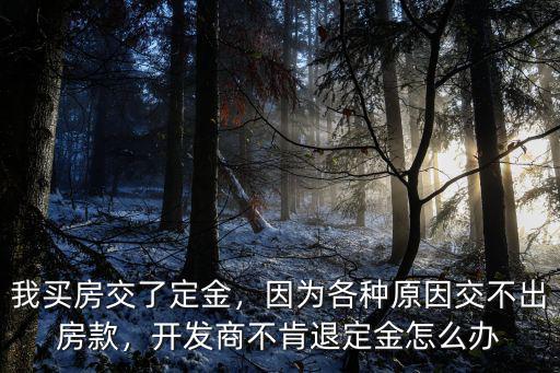 我買房交了定金，因為各種原因交不出房款，開發商不肯退定金怎么辦