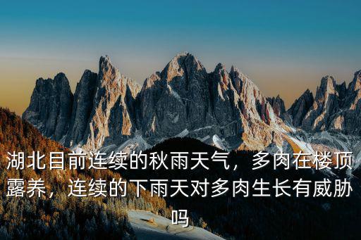 湖北目前連續(xù)的秋雨天氣，多肉在樓頂露養(yǎng)，連續(xù)的下雨天對(duì)多肉生長有威脅嗎