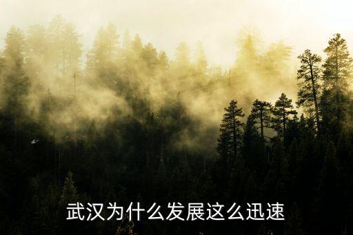 武漢新人怎么發展,怎么看武漢的未來發展