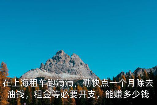 在上海租車跑滴滴，勤快點一個月除去油錢，租金等必要開支，能賺多少錢
