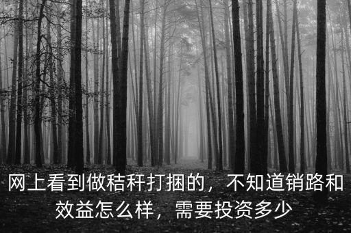網上看到做秸稈打捆的，不知道銷路和效益怎么樣，需要投資多少