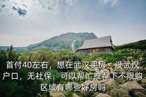 首付40左右，想在武漢買房，沒武漢戶口，無社保，可以幫忙推薦下不限購區域有哪些好房嗎