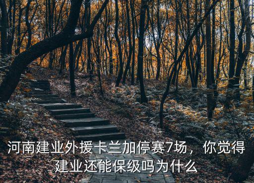 河南建業(yè)卡蘭加年薪多少,河南建業(yè)外援卡蘭加停賽7場(chǎng)