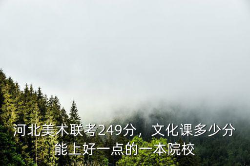 河北美術聯考249分，文化課多少分能上好一點的一本院校