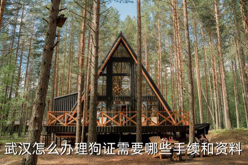 武漢怎么辦理狗證需要哪些手續和資料