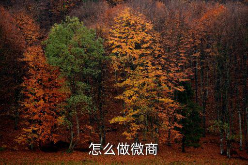 隨州微商廣告衣怎么用,做微商的怎么快速群發廣告