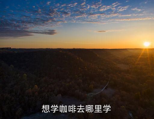 想學咖啡去哪里學