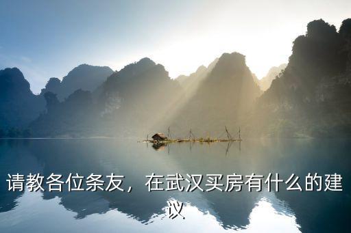 請教各位條友，在武漢買房有什么的建議