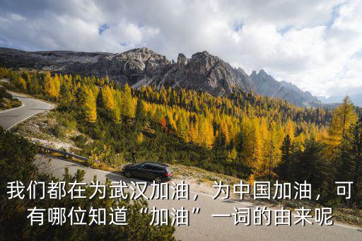 加油中國加油武漢怎么翻譯,我們都在為武漢加油