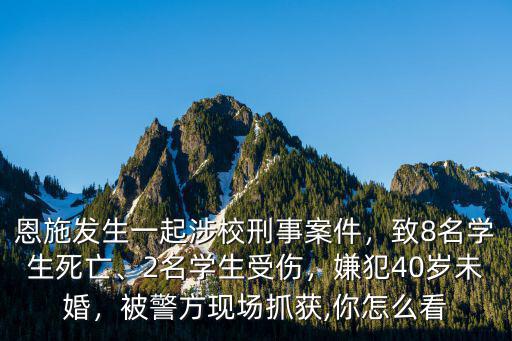 恩施發生一起涉校刑事案件，致8名學生死亡、2名學生受傷，嫌犯40歲未婚，被警方現場抓獲,你怎么看