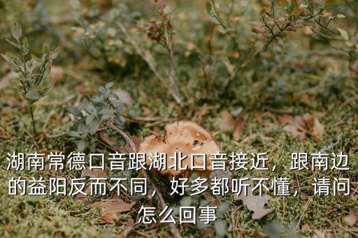 湖北話口音怎么說,湖南常德口音跟湖北口音接近