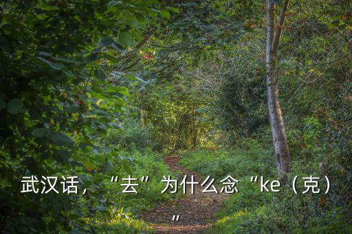 武漢話，“去”為什么念“ke（克）”