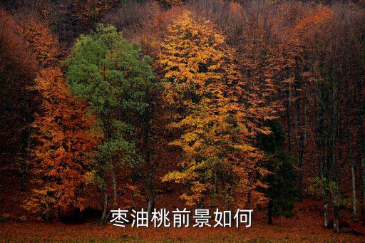 棗油桃前景如何