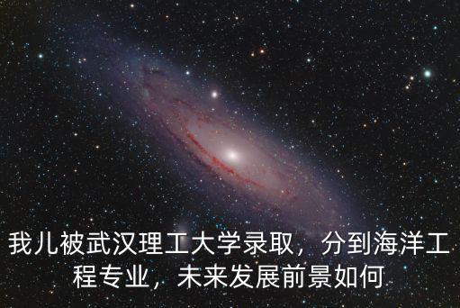 武漢理工大學宿舍怎么分配專業,我兒被武漢理工大學錄取