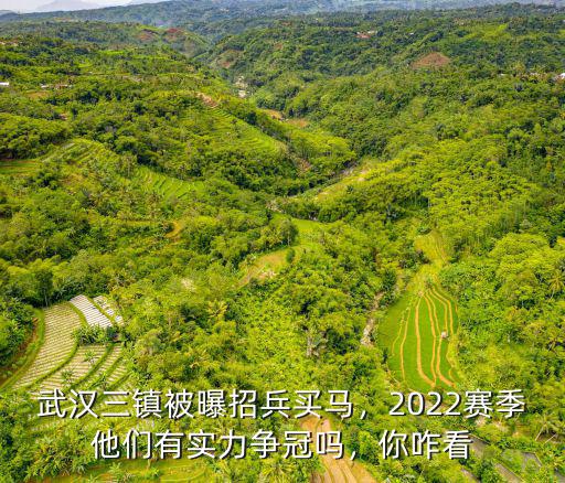 武漢三鎮被曝招兵買馬，2022賽季他們有實力爭冠嗎，你咋看