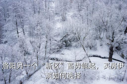 洛陽另一個“新區(qū)”蓄勢崛起，買房伊濱如何選擇