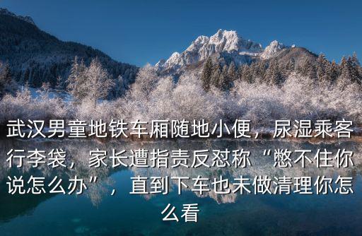 武漢男童地鐵車廂隨地小便，尿濕乘客行李袋，家長遭指責(zé)反懟稱“憋不住你說怎么辦”，直到下車也未做清理你怎么看