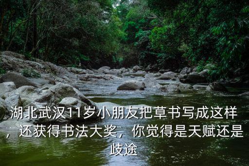 湖北武漢11歲小朋友把草書寫成這樣，還獲得書法大獎，你覺得是天賦還是歧途