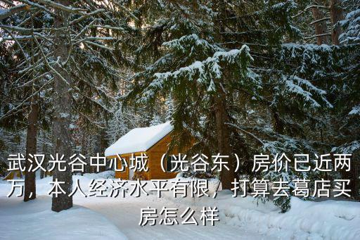 武漢光谷中心城（光谷東）房價已近兩萬，本人經濟水平有限，打算去葛店買房怎么樣