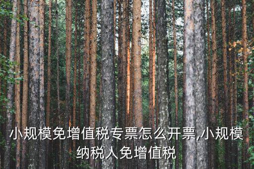 武漢小規(guī)模免增值稅專票怎么開(kāi)票,小規(guī)模納稅人免增值稅