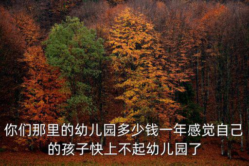 你們那里的幼兒園多少錢一年感覺自己的孩子快上不起幼兒園了