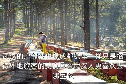 武漢的戶部巷也像成都錦里一樣只是招待外地旅客的美食區么武漢人更喜歡去哪里吃