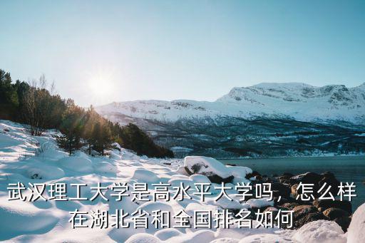 武漢理工大學(xué)是高水平大學(xué)嗎，怎么樣在湖北省和全國排名如何