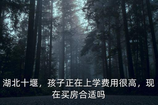 湖北十堰，孩子正在上學費用很高，現在買房合適嗎