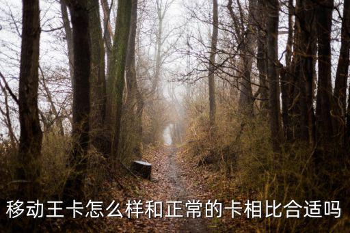 移動王卡怎么樣和正常的卡相比合適嗎
