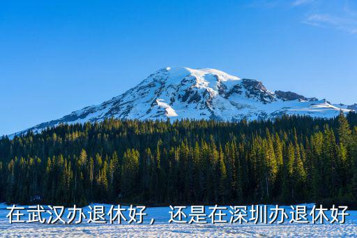 在武漢交了社保怎么辦退休,在武漢辦退休好