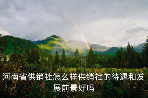 河南省供銷社怎么樣供銷社的待遇和發(fā)展前景好嗎