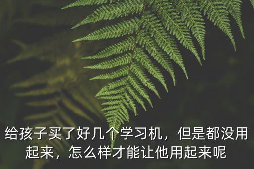 武漢學(xué)習(xí)機(jī)怎么買,給孩子買了好幾個(gè)學(xué)習(xí)機(jī)