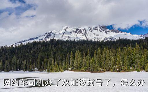 網約車司機辦了雙證被封號了，怎么辦