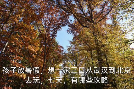 孩子放暑假，想一家三口從武漢到北京去玩，七天，有哪些攻略