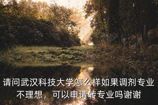 武漢科技大學(xué)安全專業(yè)怎么樣,請(qǐng)問武漢科技大學(xué)怎么樣