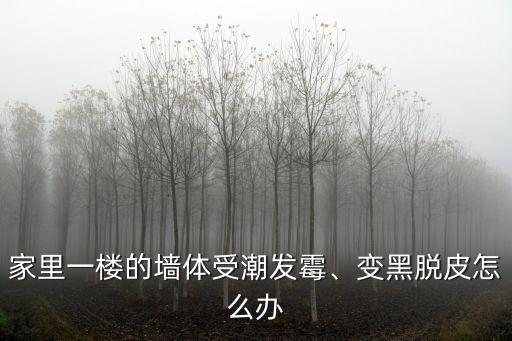 湖北一樓的房子發霉怎么辦,家里的房子是一樓